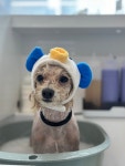 몽니드