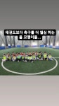 선인태권도