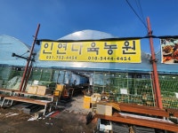인연다육