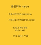 폴인캣츠
