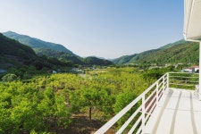 제이코코
