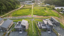스테이경화