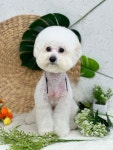 몽개구름