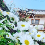 경주교동한옥집