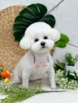 몽개구름