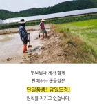 못골영농조합법인