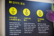 대나무생숯장어구이 하모샤브샤브