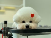 둥글리다
