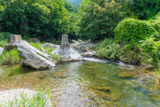 하릅펜션