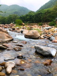 지리산자연애펜션