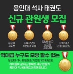 용인대석사태권도