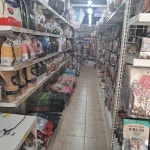 꼬리치는강아지