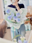 보메플레르