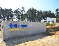 올래you
