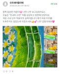 오르세아뜰리에미술교습소