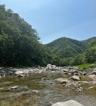오복민박