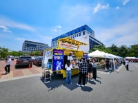시그너스