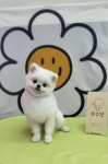 슈슈멍