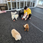 꼬순내유치원