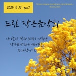 드림음악학원