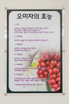 가조오리숯불구이