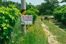가조오리숯불구이