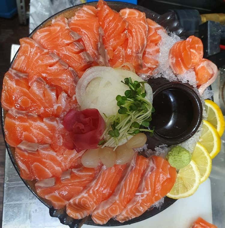 생연어사시미