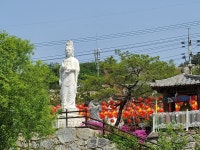 일광사