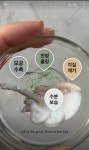스무살에 머물다 정왕대로점