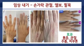 스무살에 머물다 정왕대로점