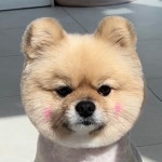 코코넨네펫미용샵