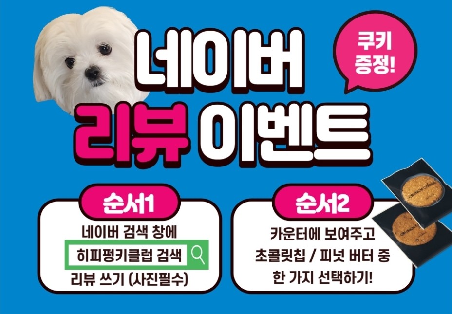 히피펑키클럽 이미지