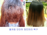 샬롬헤어프라자 | 샬롬헤어