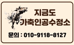 지금도 가축인공수정소