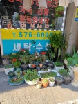 단비세탁소