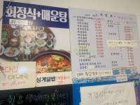 일광물회