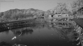 남산손맛낚시터