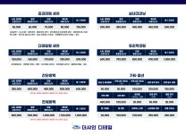 더샤인디테일