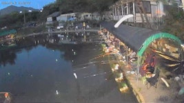 남산손맛낚시터