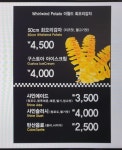 늘빛나