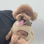 우리몽