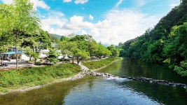 하방소 포레스트