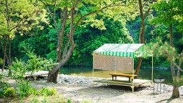 하방소 포레스트