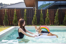 풀스테이 스테이펫 홍천