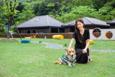 풀스테이 스테이펫 홍천
