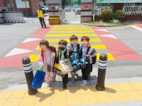 경희대화랑K타이거즈태권도