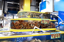 가락시장 청해수산