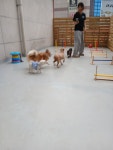 슬기로운 멍생활