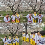 소나무향기태권도