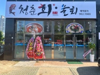 청춘회물회